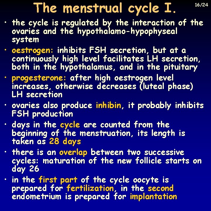 The menstrual cycle I. 16/24 • the cycle is regulated by the interaction of