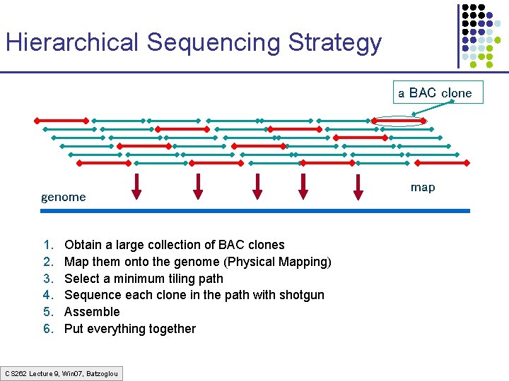 Hierarchical Sequencing Strategy a BAC clone genome 1. 2. 3. 4. 5. 6. Obtain Hierarchical Sequencing Strategy a BAC clone genome 1. 2. 3. 4. 5. 6. Obtain