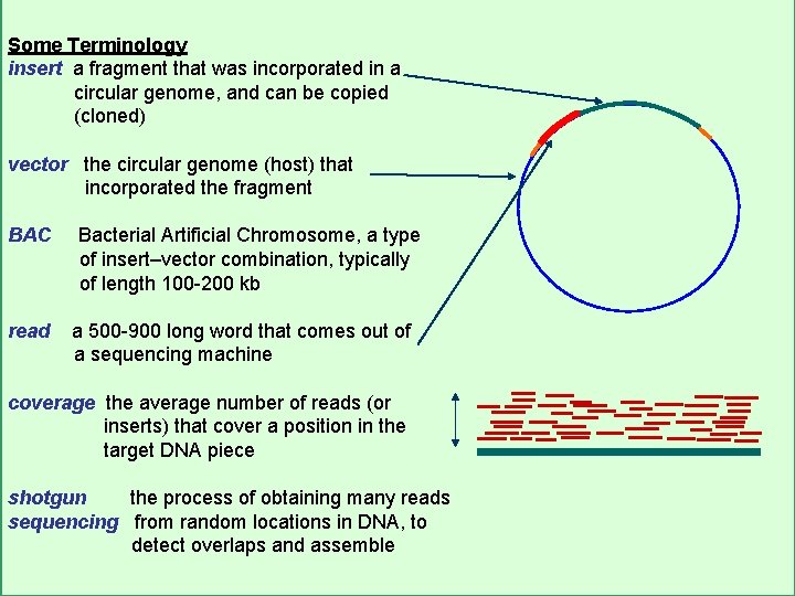 Some Terminology insert a fragment that was incorporated in a circular genome, and can Some Terminology insert a fragment that was incorporated in a circular genome, and can