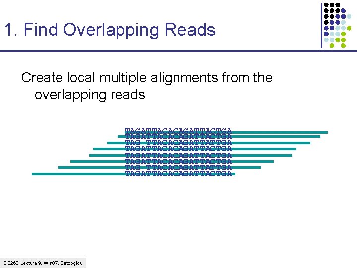 1. Find Overlapping Reads Create local multiple alignments from the overlapping reads TAGATTACACAGATTACTGA TAG 1. Find Overlapping Reads Create local multiple alignments from the overlapping reads TAGATTACACAGATTACTGA TAG
