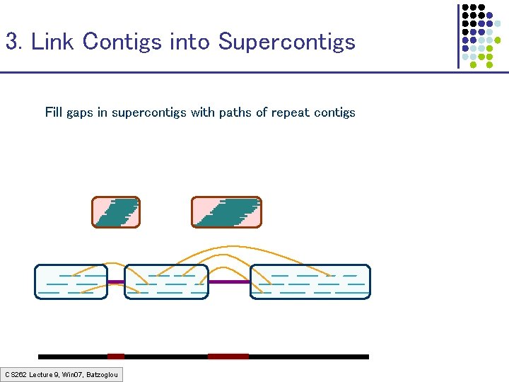 3. Link Contigs into Supercontigs Fill gaps in supercontigs with paths of repeat contigs 3. Link Contigs into Supercontigs Fill gaps in supercontigs with paths of repeat contigs