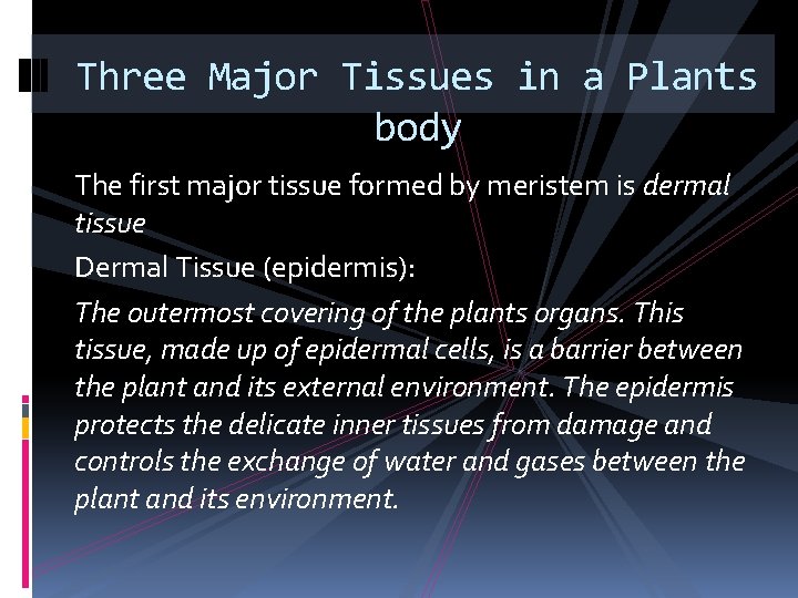 Three Major Tissues in a Plants body The first major tissue formed by meristem