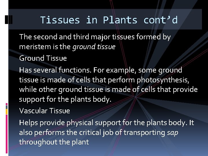 Tissues in Plants cont’d The second and third major tissues formed by meristem is