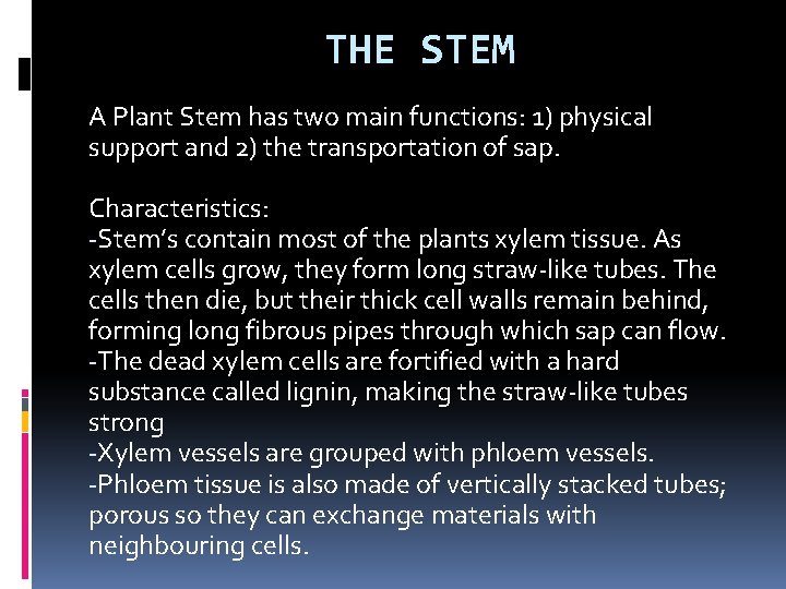 THE STEM A Plant Stem has two main functions: 1) physical support and 2)