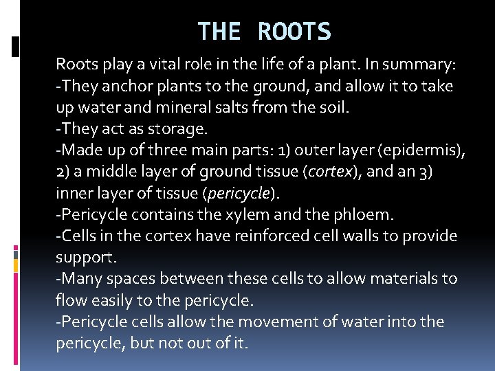 THE ROOTS Roots play a vital role in the life of a plant. In