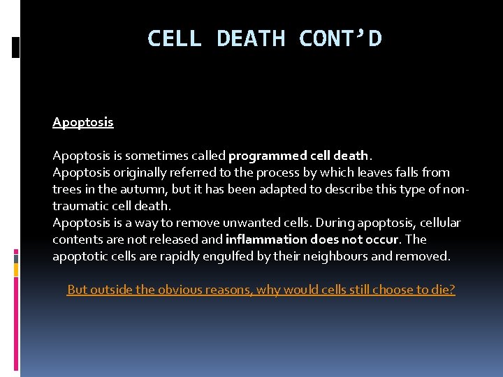 CELL DEATH CONT’D Apoptosis is sometimes called programmed cell death. Apoptosis originally referred to