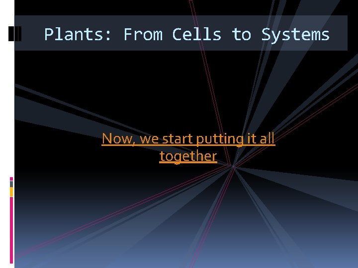 Plants: From Cells to Systems Now, we start putting it all together 