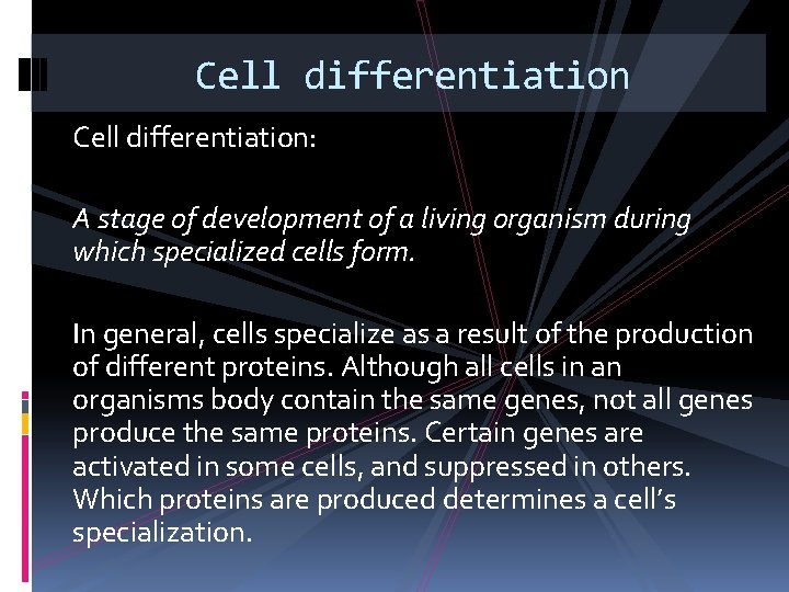 Cell differentiation: A stage of development of a living organism during which specialized cells