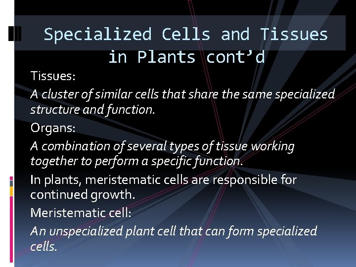 Specialized Cells and Tissues in Plants cont’d Tissues: A cluster of similar cells that