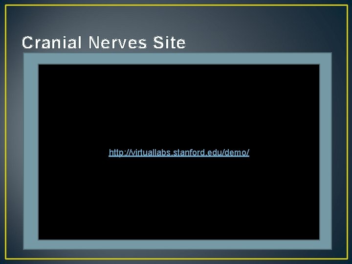 Cranial Nerves Site http: //virtuallabs. stanford. edu/demo/ 