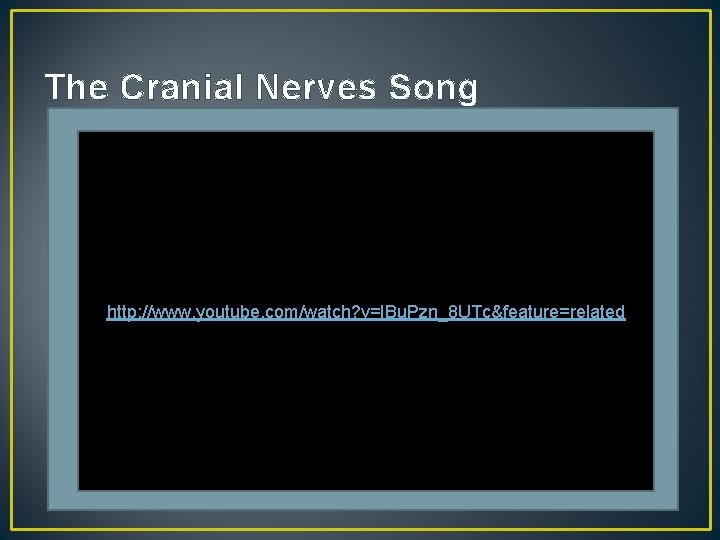 The Cranial Nerves Song http: //www. youtube. com/watch? v=IBu. Pzn_8 UTc&feature=related 