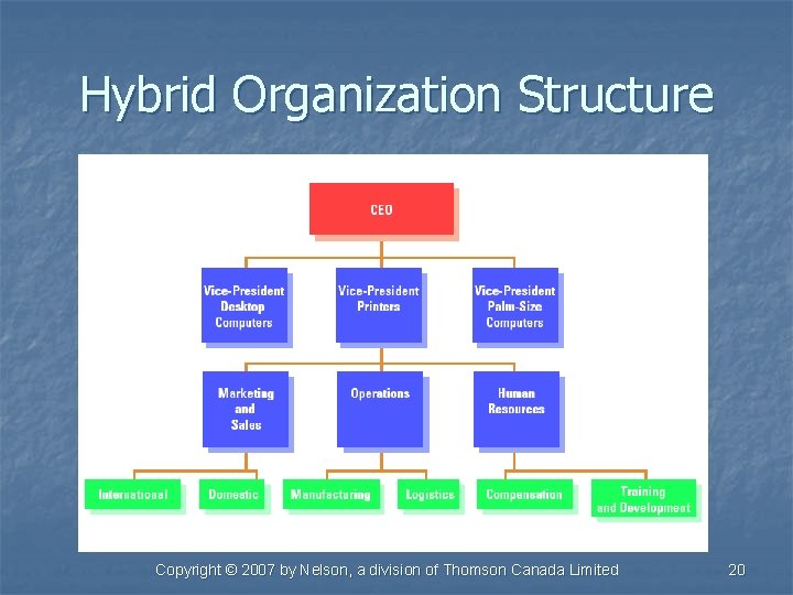 Hybrid Organization Structure Copyright © 2007 by Nelson, a division of Thomson Canada Limited