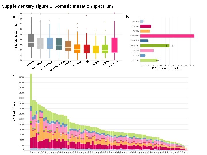 Supplementary Figure 1. Somatic mutation spectrum a # Substitutions per Mb b # Substitutions