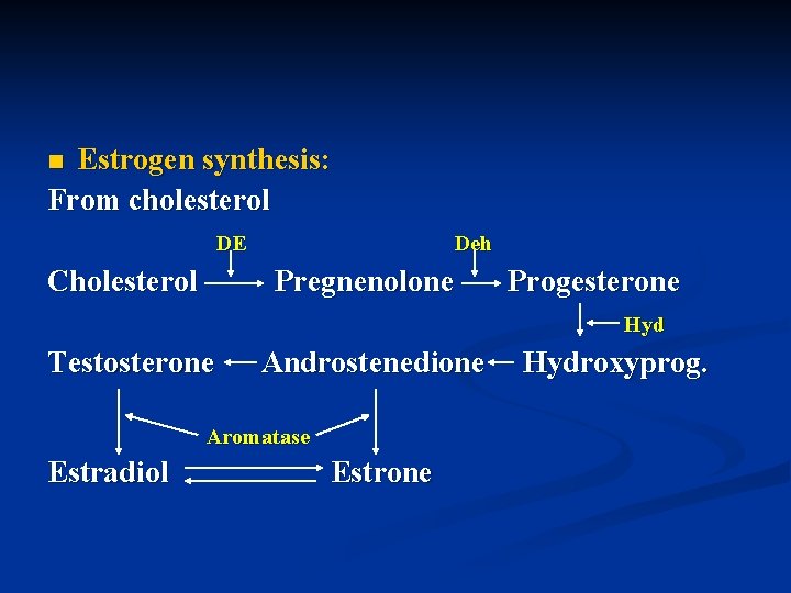 Estrogen synthesis: From cholesterol n DE Cholesterol Deh Pregnenolone Progesterone Hyd Testosterone Androstenedione Aromatase