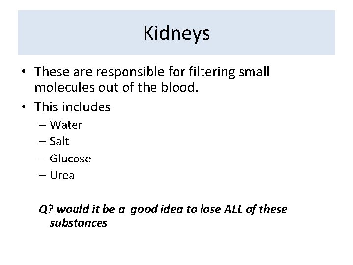 Kidneys • These are responsible for filtering small molecules out of the blood. •