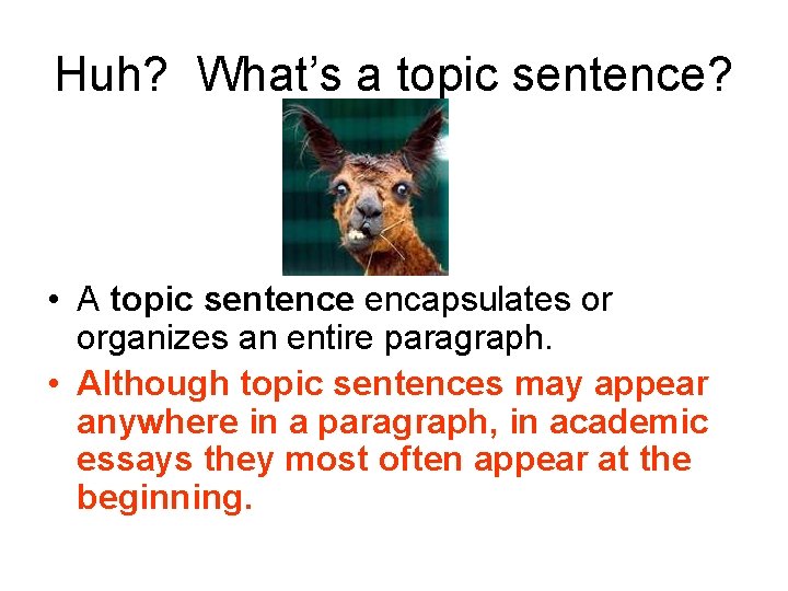 Huh? What’s a topic sentence? • A topic sentence encapsulates or organizes an entire