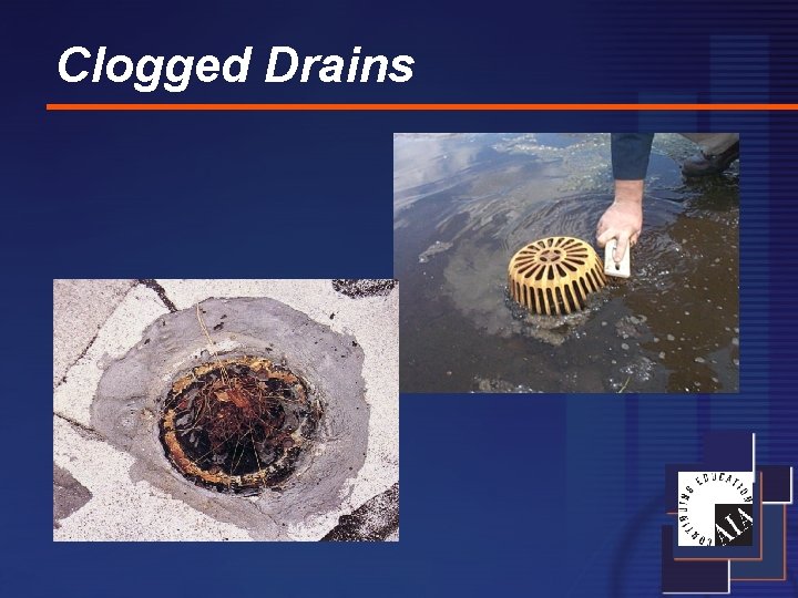 Clogged Drains 