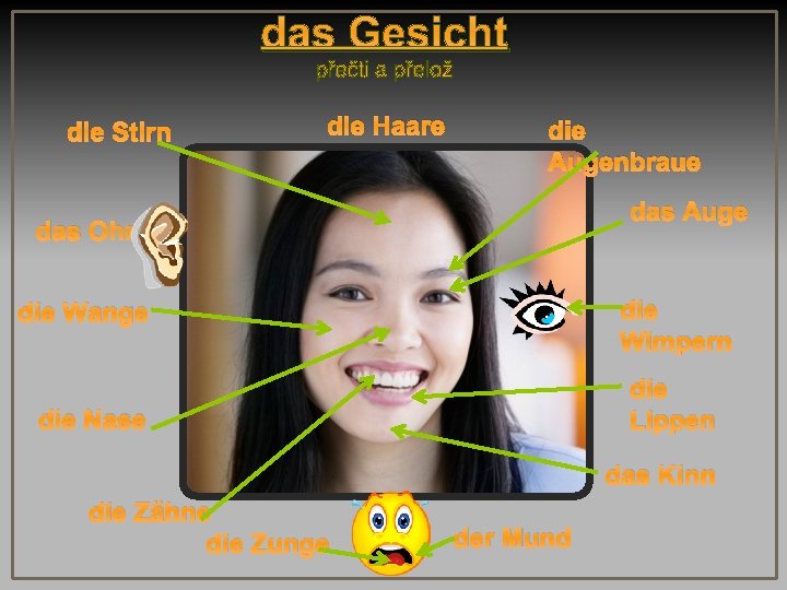 das Gesicht die Stirn die Haare die Augenbraue das Auge das Ohr die Wimpern