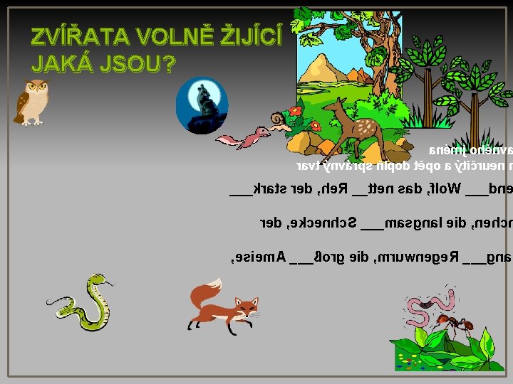 ZVÍŘATA VOLNĚ ŽIJÍCÍ JAKÁ JSOU? anémj ohénv ravt ýnvárps ňlpod těpo a ýtičruen ___krats