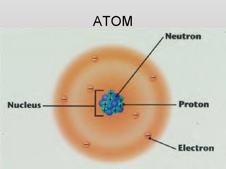 ATOM 