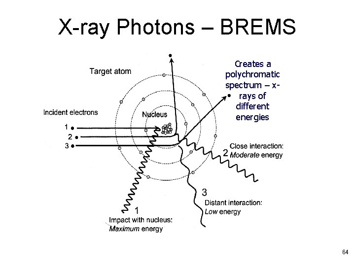 X-ray Photons – BREMS Creates a polychromatic spectrum – xrays of different energies 64