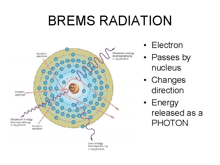 BREMS RADIATION • Electron • Passes by nucleus • Changes direction • Energy released