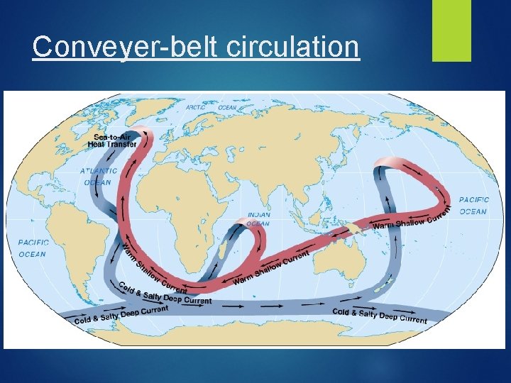 Conveyer-belt circulation 