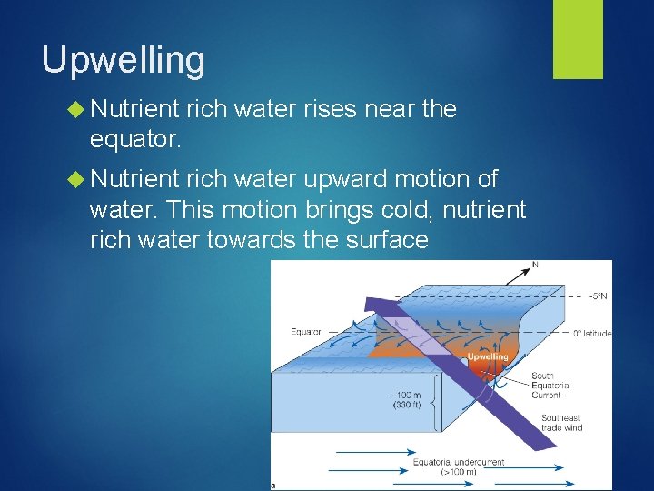 Upwelling Nutrient rich water rises near the equator. Nutrient rich water upward motion of