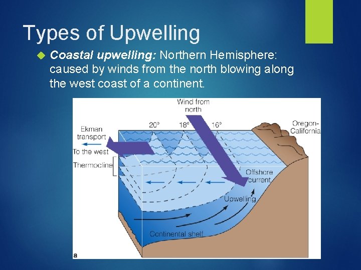 Types of Upwelling Coastal upwelling: Northern Hemisphere: caused by winds from the north blowing