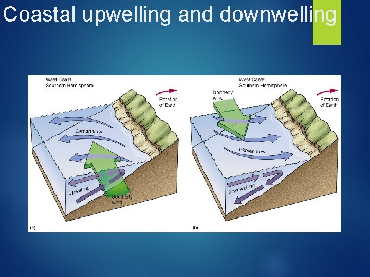Coastal upwelling and downwelling 