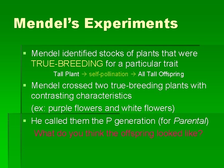 Mendel’s Experiments § Mendel identified stocks of plants that were TRUE-BREEDING for a particular