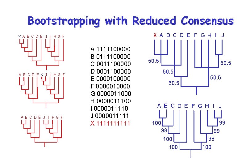 Bootstrapping with Reduced Consensus X A B C D E F G H I Bootstrapping with Reduced Consensus X A B C D E F G H I