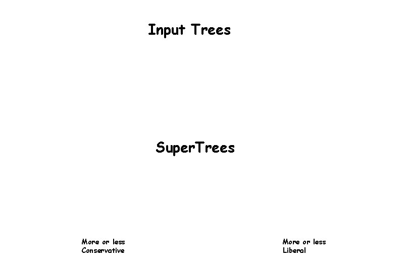 Input Trees Super. Trees More or less Conservative More or less Liberal Input Trees Super. Trees More or less Conservative More or less Liberal