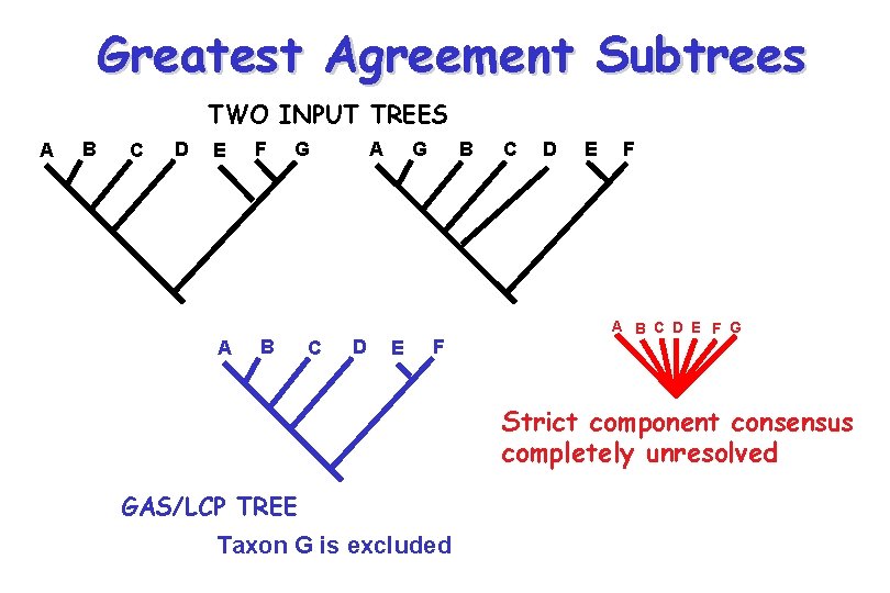 Greatest Agreement Subtrees TWO INPUT TREES A B C D E A F G Greatest Agreement Subtrees TWO INPUT TREES A B C D E A F G