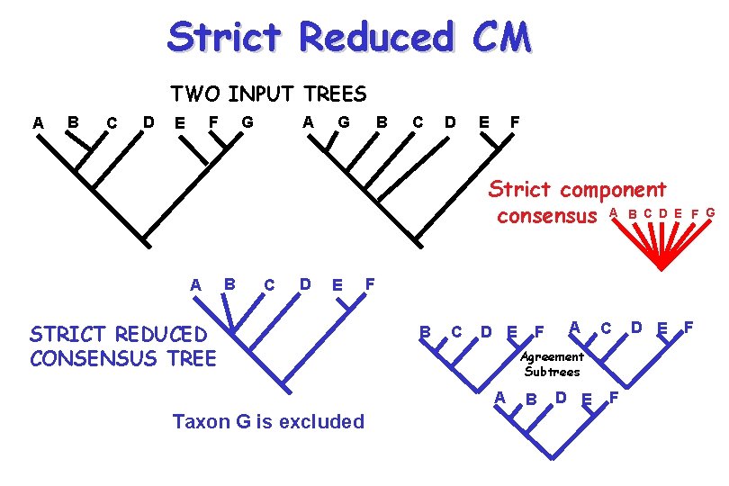 Strict Reduced CM TWO INPUT TREES A B C D F E G A Strict Reduced CM TWO INPUT TREES A B C D F E G A