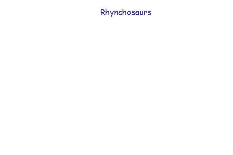 Rhynchosaurs Rhynchosaurs