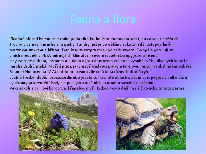 Fauna a flora Chladné oblasti kolem severního polárního kruhu jsou domovem sobů, hus a