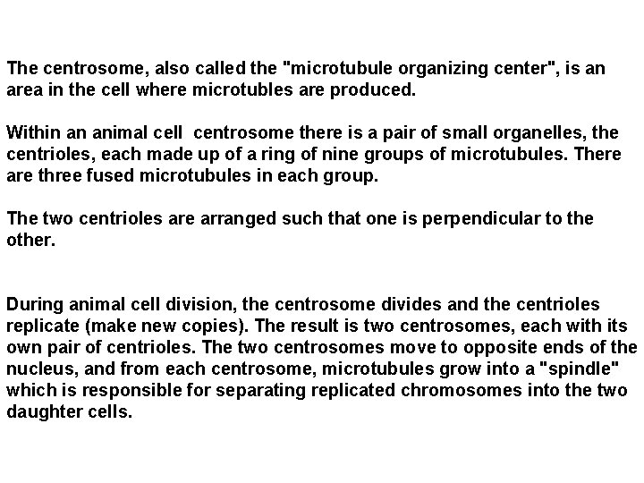 The centrosome, also called the "microtubule organizing center", is an area in the cell