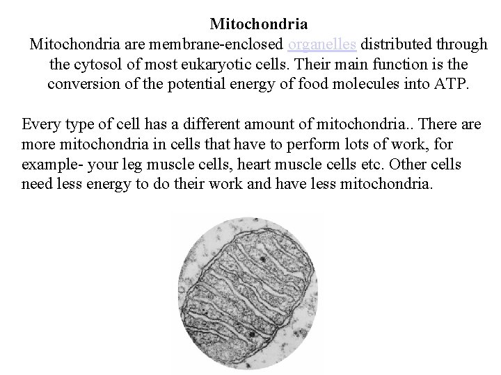 Mitochondria are membrane-enclosed organelles distributed through the cytosol of most eukaryotic cells. Their main