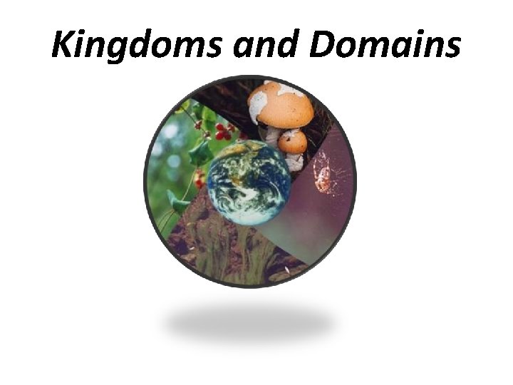 Kingdoms and Domains 