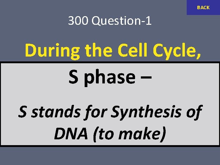 BACK 300 Question-1 During the Cell Cycle, when. Sdoes DNA phase – get replicated