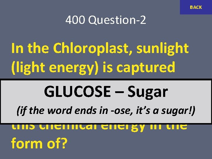 BACK 400 Question-2 In the Chloroplast, sunlight (light energy) is captured and converted into