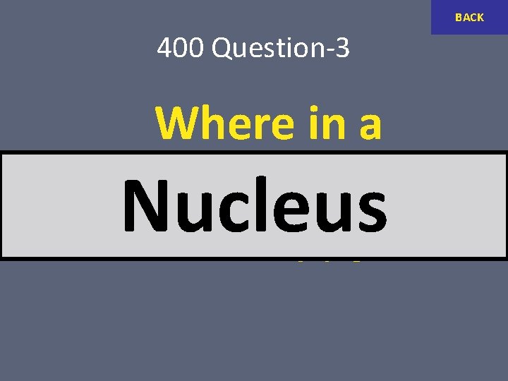 BACK 400 Question-3 Where in a eukaryotic cell is RNA made? Nucleus 