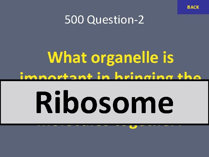 BACK 500 Question-2 What organelle is important in bringing the t. RNA and m.