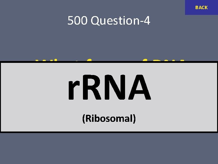 BACK 500 Question-4 What form of RNA makes ribosomes? r. RNA (Ribosomal) 