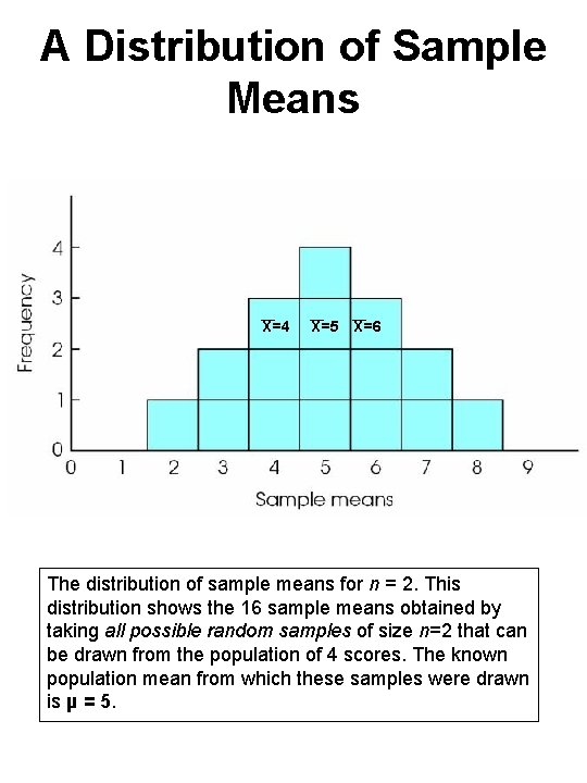 A Distribution of Sample Means X=4 X=5 X=6 The distribution of sample means for