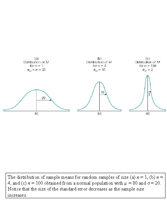 The distribution of sample means for random samples of size (a) n = 1,