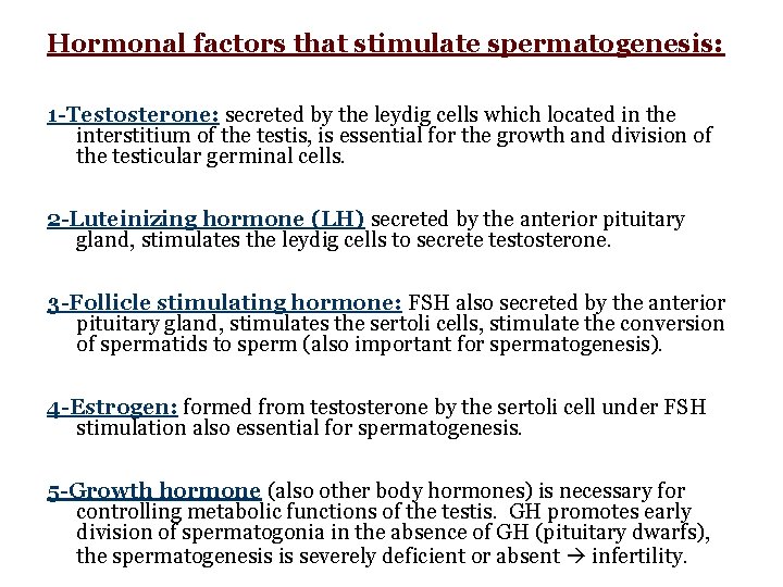 Hormonal factors that stimulate spermatogenesis: 1 -Testosterone: secreted by the leydig cells which located