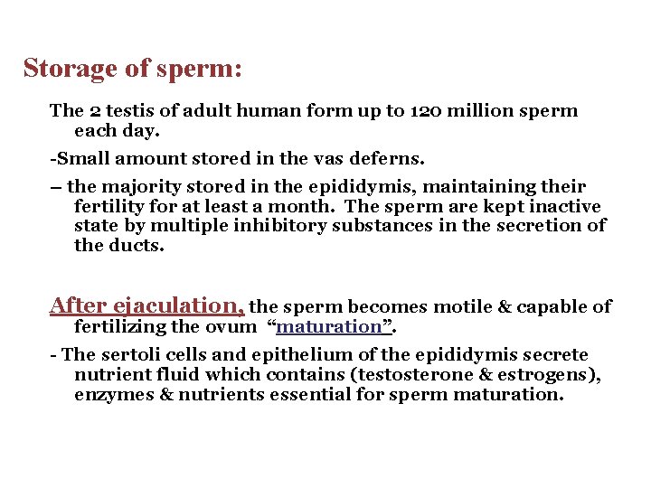 Storage of sperm: The 2 testis of adult human form up to 120 million