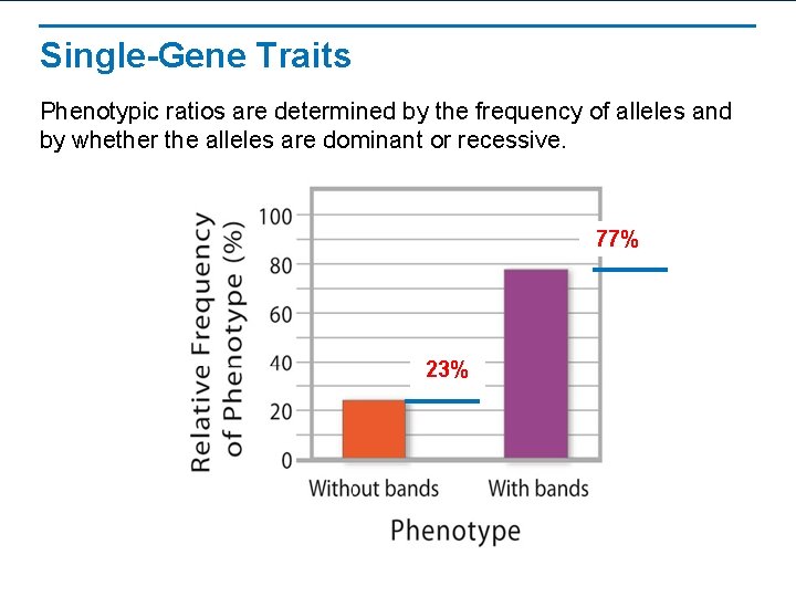 Single-Gene Traits Phenotypic ratios are determined by the frequency of alleles and by whether